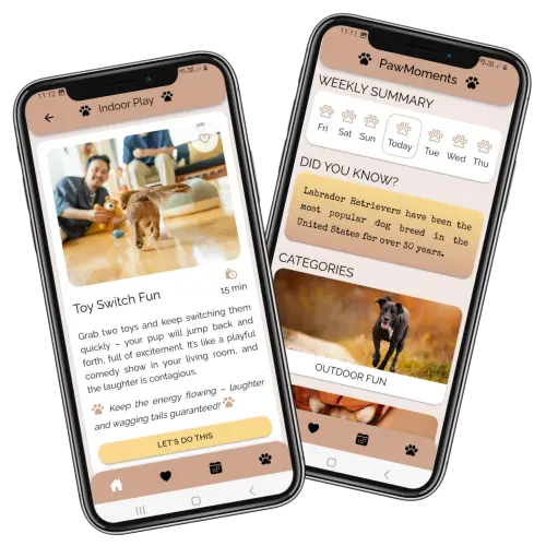 PawMoments screenshots